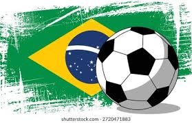 眼瞎了，羽毛球打的