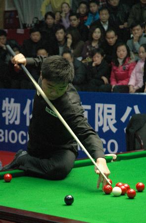 球员和球迷 球员和球迷